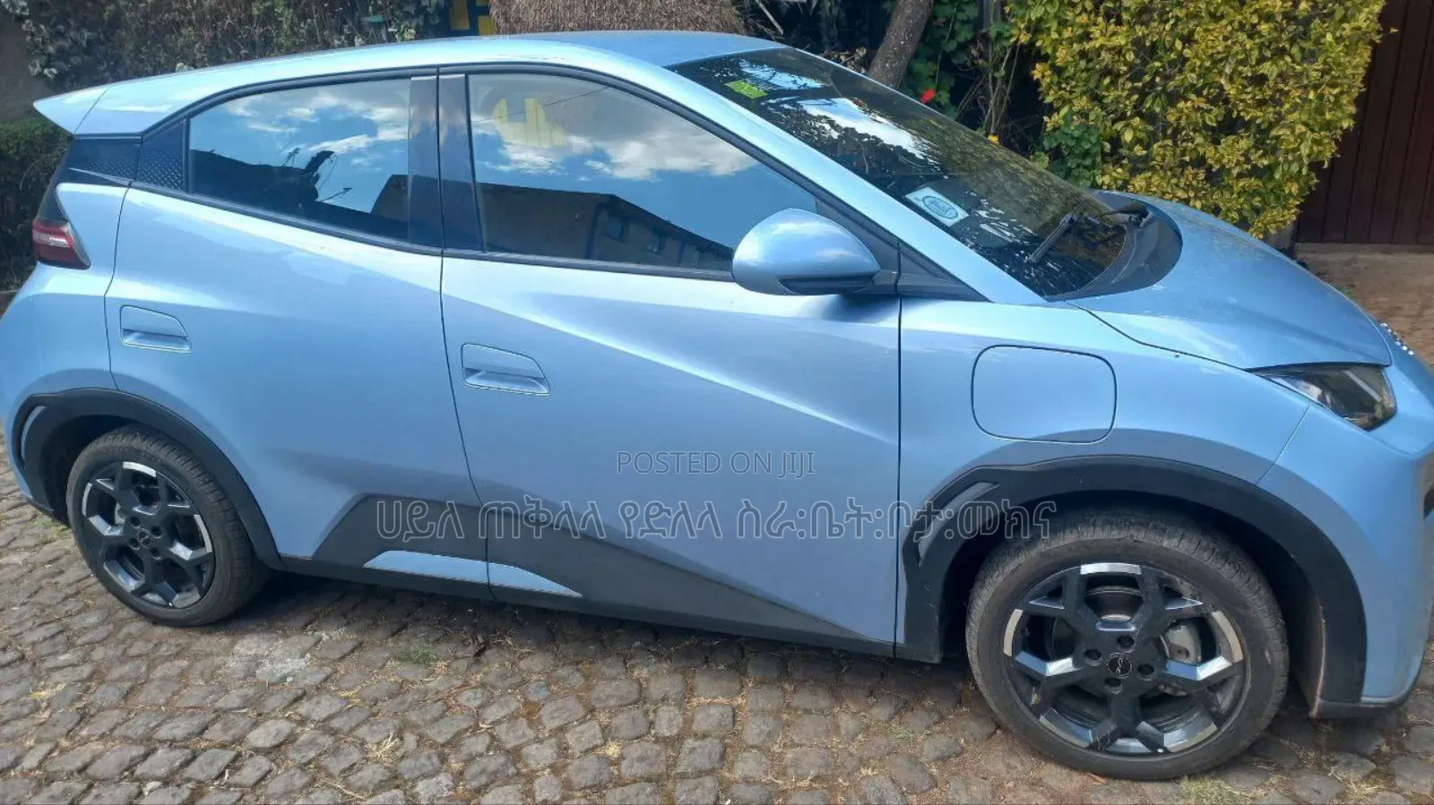 BYD Seagull 2025 Blue