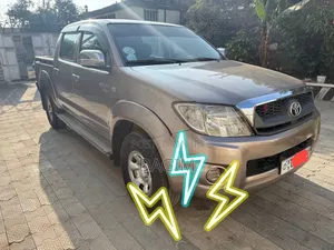 Toyota Hilux 2010 Brown