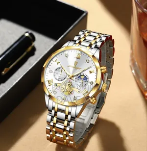 Poedagar Luxury Man Wristwatch With a Two-Tone (Silver and Gold)