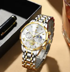 Poedagar Luxury Man Wristwatch With a Two-Tone (Silver and Gold)