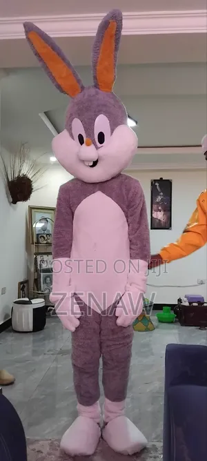 Photo - የሚለበስ አሻንጉሊት Mascot Ostume