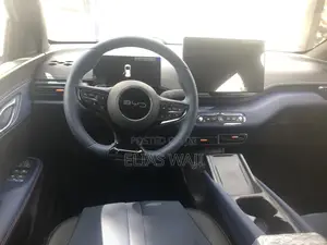 New BYD Seagull 2025 Black