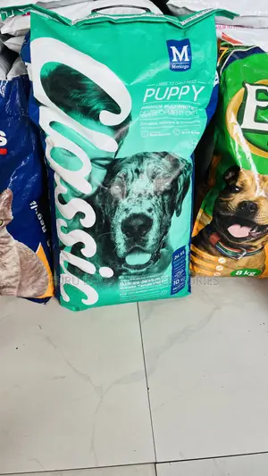 Dry Food for Dogs