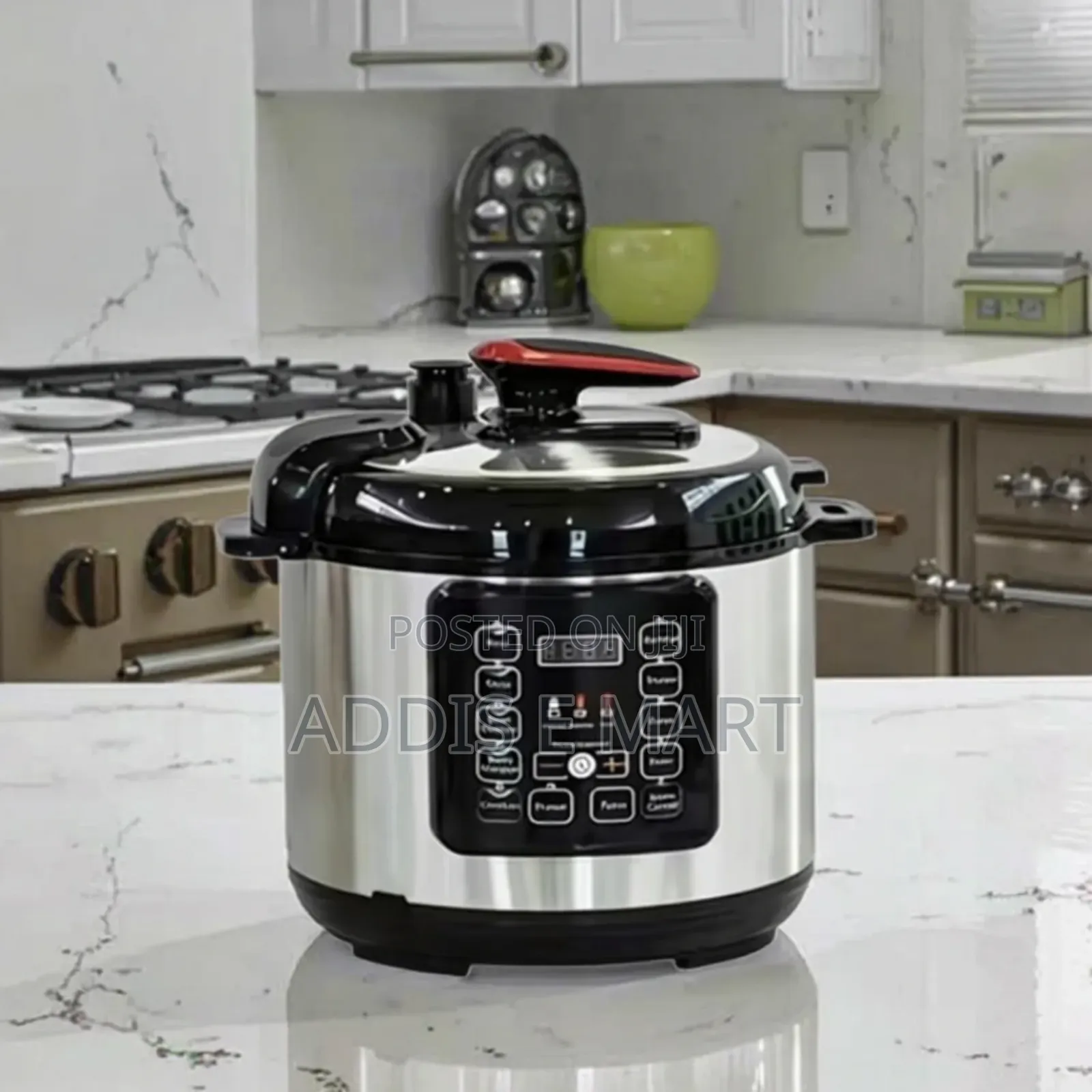 Sanford 6 Liter Electric Pressure Cooker