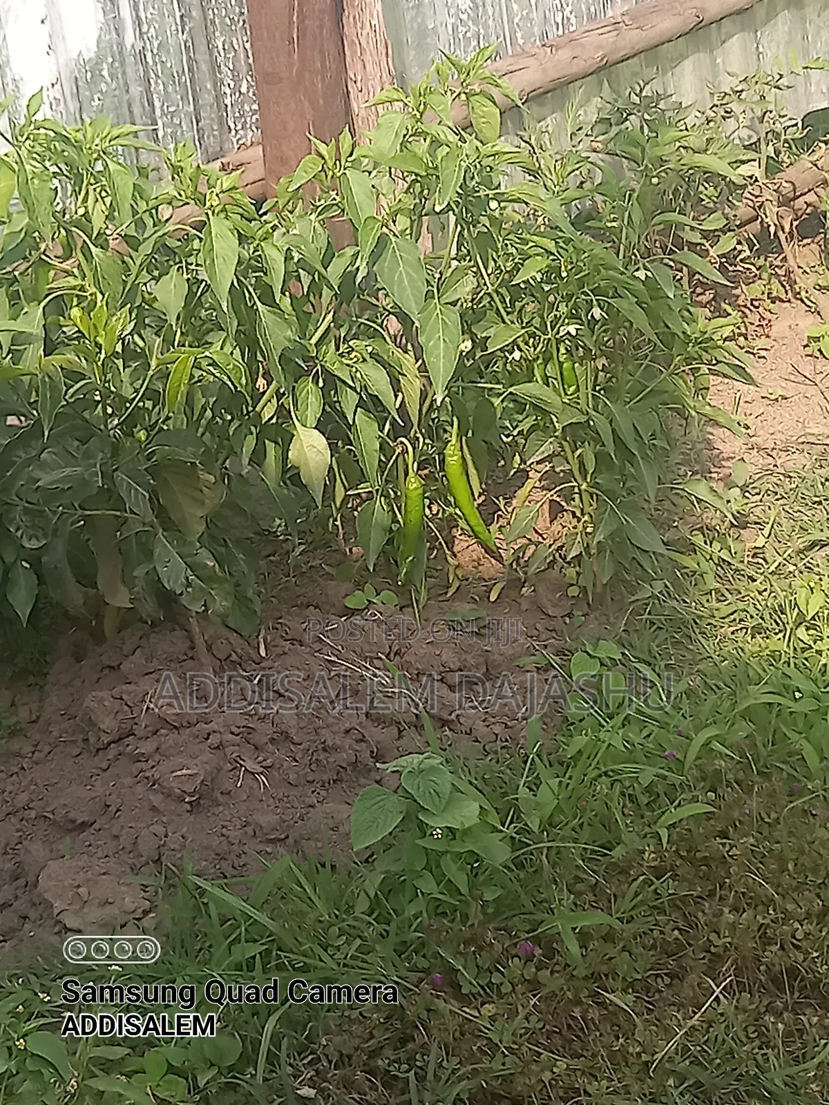 2bdrm House in Shashemene 66, Arsi for sale