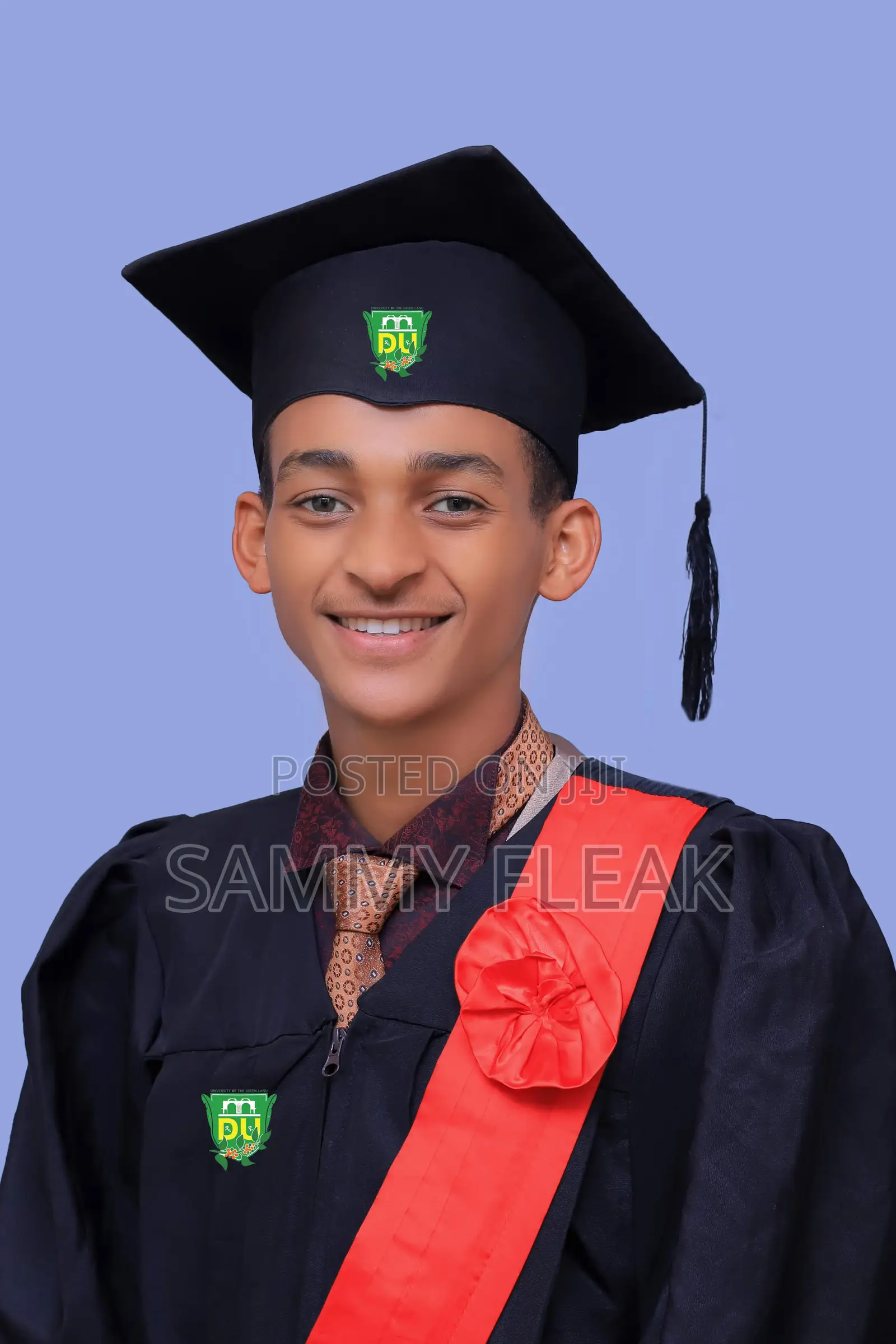 Online Marketer and Sales