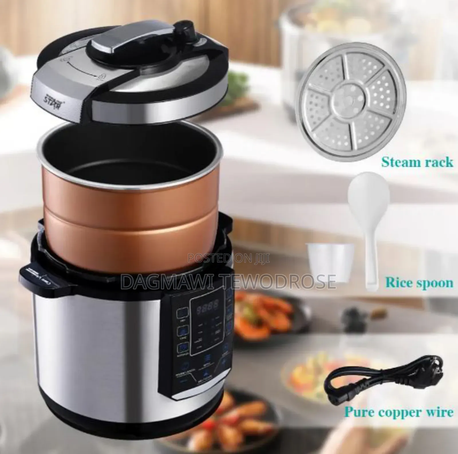 Winning Star 1000w 6l Multifunction Electric Pressure Cooker