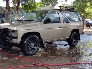 Photo - Nissan Pathfinder 1991 Gray