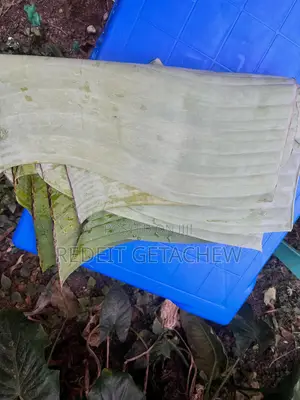 Food Zone Supplement