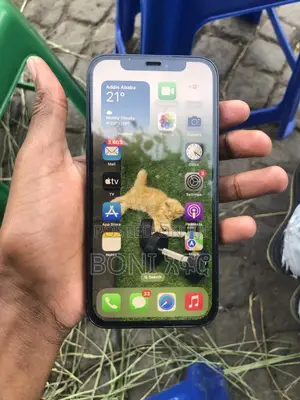 Apple iPhone 12 128 GB Black