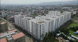 Furnished 1bdrm Apartment in Noah, Bole for sale