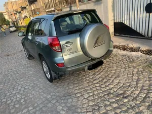 Toyota RAV4 2007 Gray
