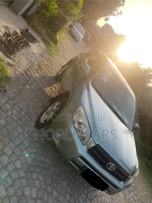 Toyota RAV4 2007 Gray