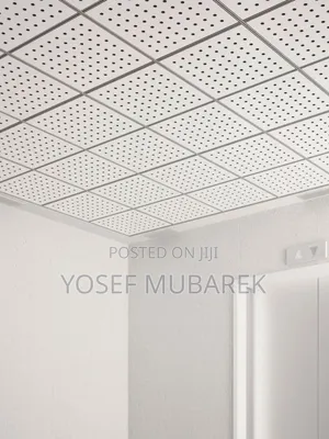ዘመናዊ አልሙኒየም Ceiling Almunium