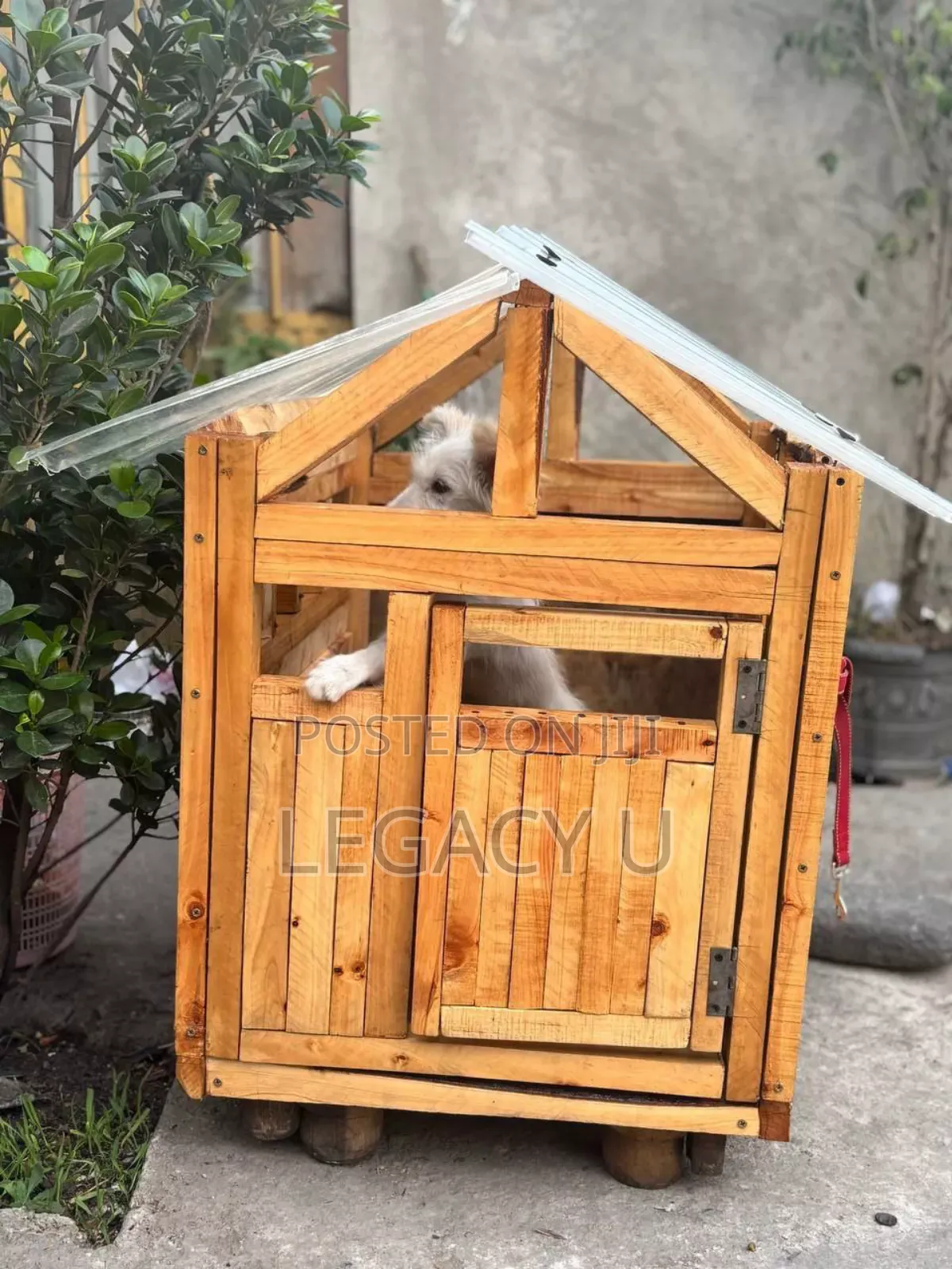 Wood Dog House