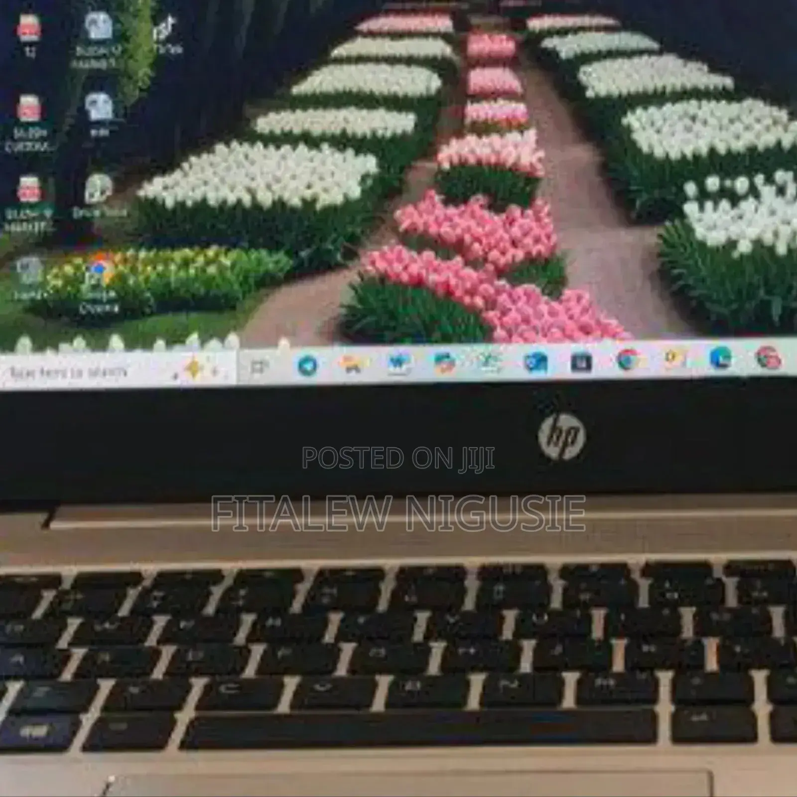 New Laptop HP ProBook 440 G6 16GB Intel Core i5 SSD 512GB