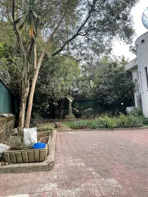 5bdrm Mansion in Bole for rent