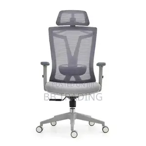 Manager Office Chair (Too Comfortable)