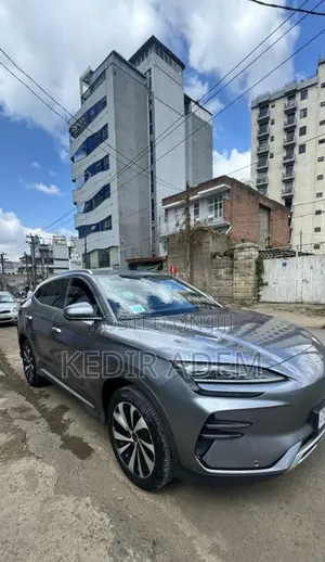 BYD Song Plus 2024 Gray