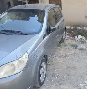 Chevrolet Aveo 2010 Silver