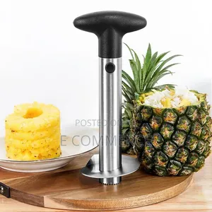 Pineapple Cutter Corer, Slicer, Peeler