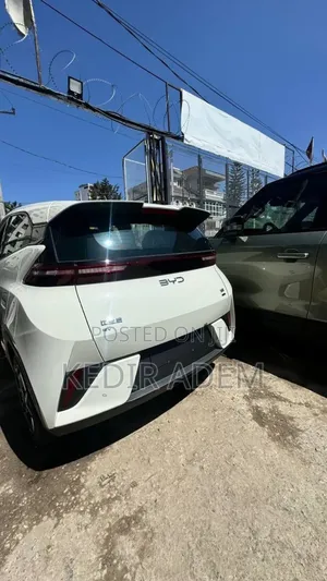 New BYD Seagull 2025 Brown