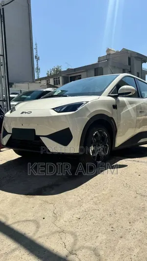 Photo - New BYD Seagull 2025 Brown