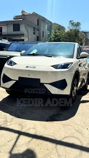 New BYD Seagull 2025 Brown