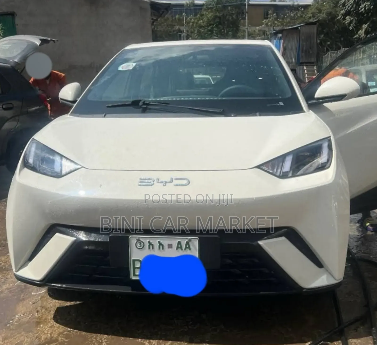 BYD Seagull 38 kWh FWD 2024 White