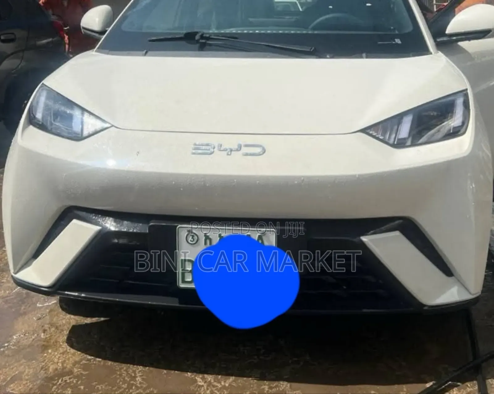 BYD Seagull 38 kWh FWD 2024 White