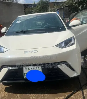 BYD Seagull 38 kWh FWD 2024 White