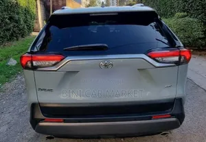 Toyota RAV4 2020 Gray