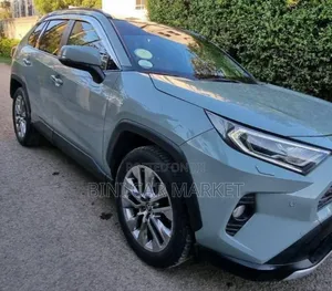Toyota RAV4 2020 Gray