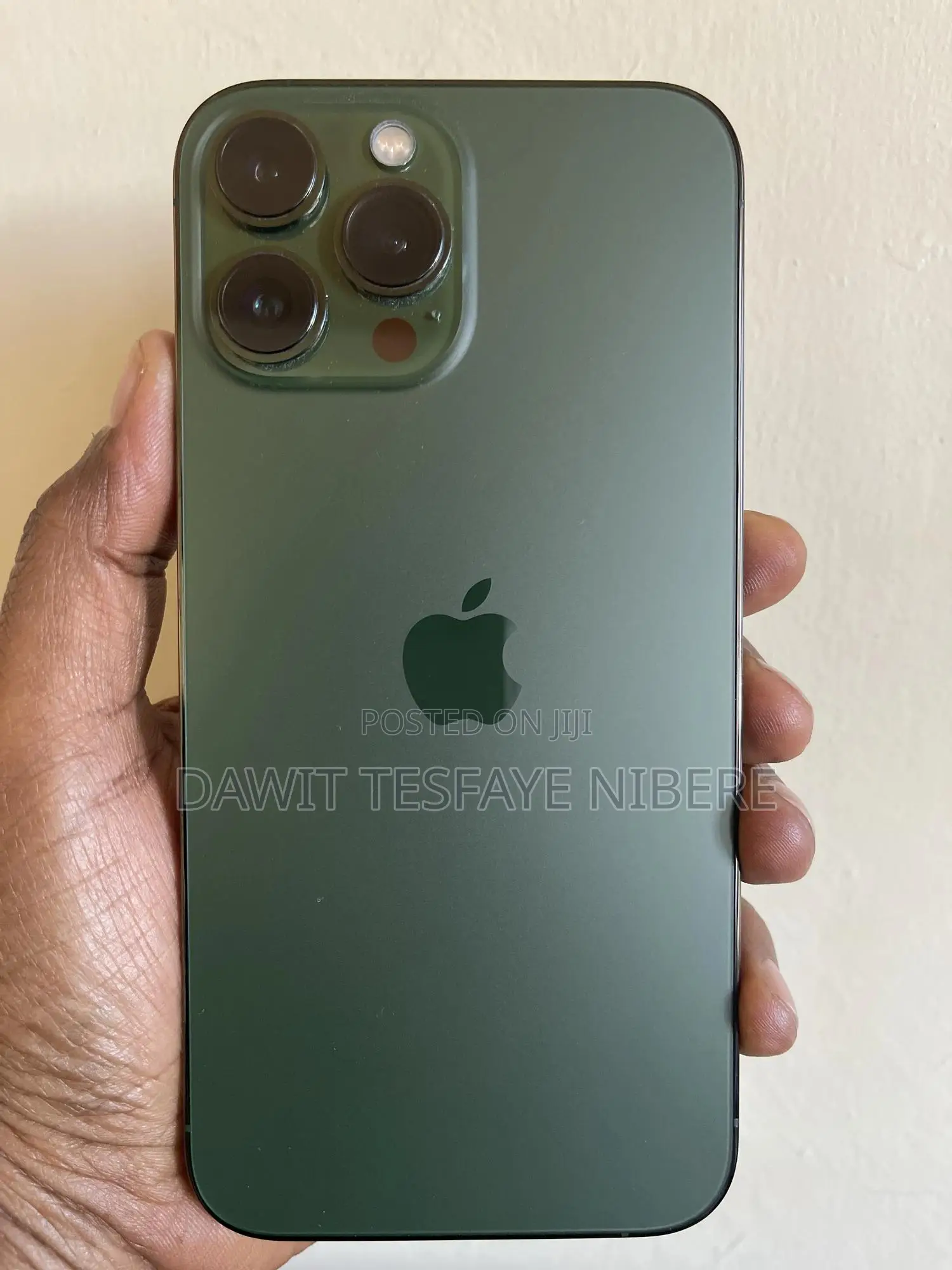 New Apple iPhone 13 Pro Max 256 GB Green
