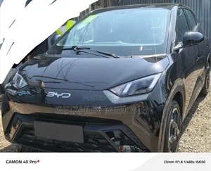 New BYD Seagull 2024 Black