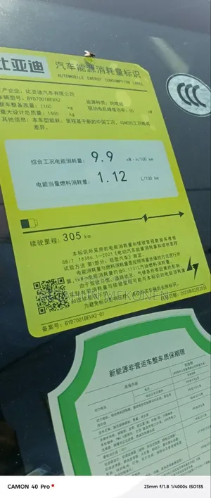 New BYD Seagull 2024 Black