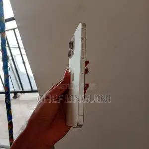 Apple iPhone 13 Pro Max 256 GB White