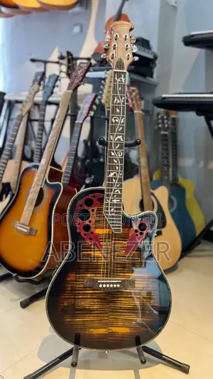 Photo - Smiger Guitar