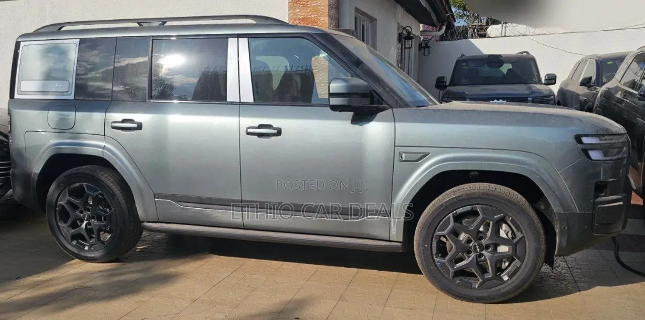 New BYD Leopard 7 2025 Silver