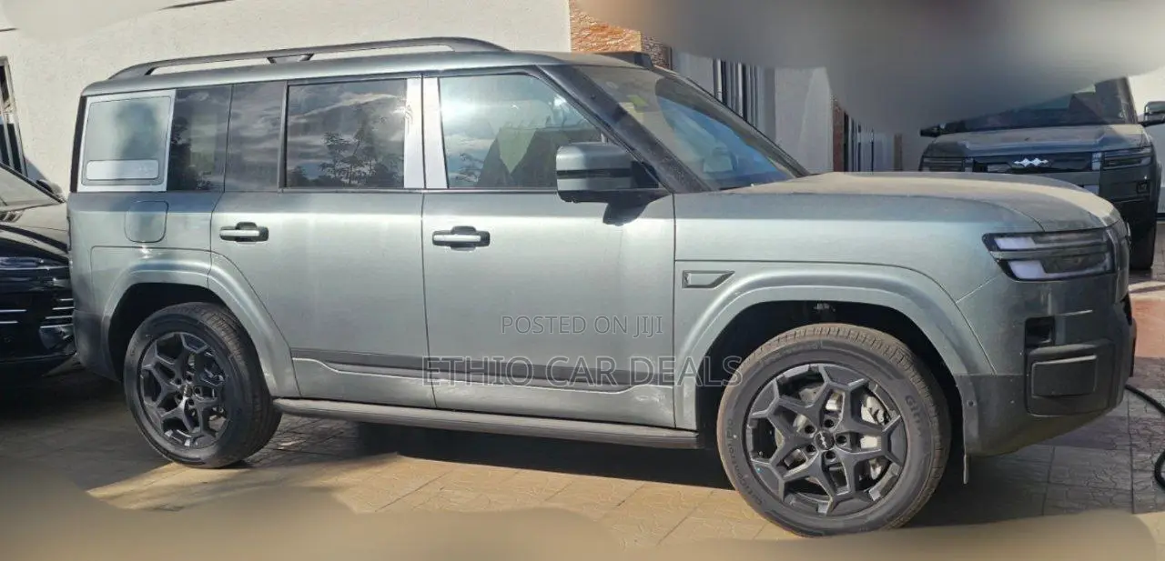 New BYD Leopard 7 2025 Silver