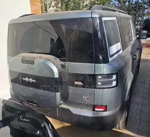 New BYD Leopard 7 2025 Silver