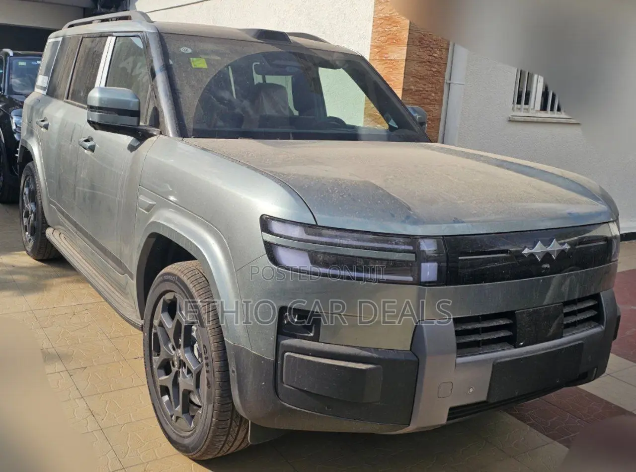 New BYD Leopard 7 2025 Silver