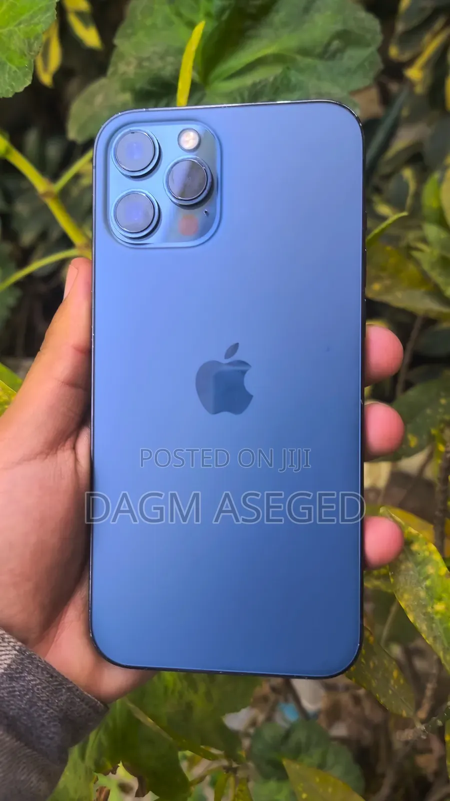 Apple iPhone 12 Pro Max 256 GB Blue