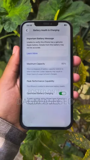 Apple iPhone 12 Pro Max 256 GB Blue