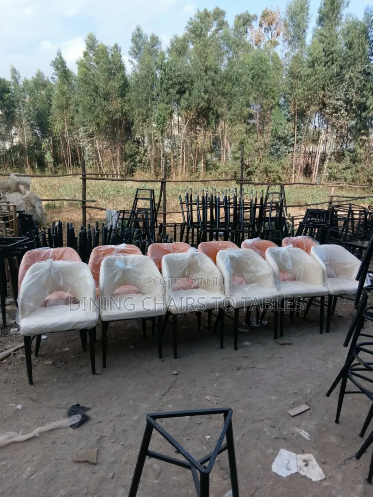 Dining Restaurant Hotel Chairs