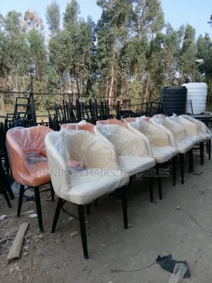 Dining Restaurant Hotel Chairs