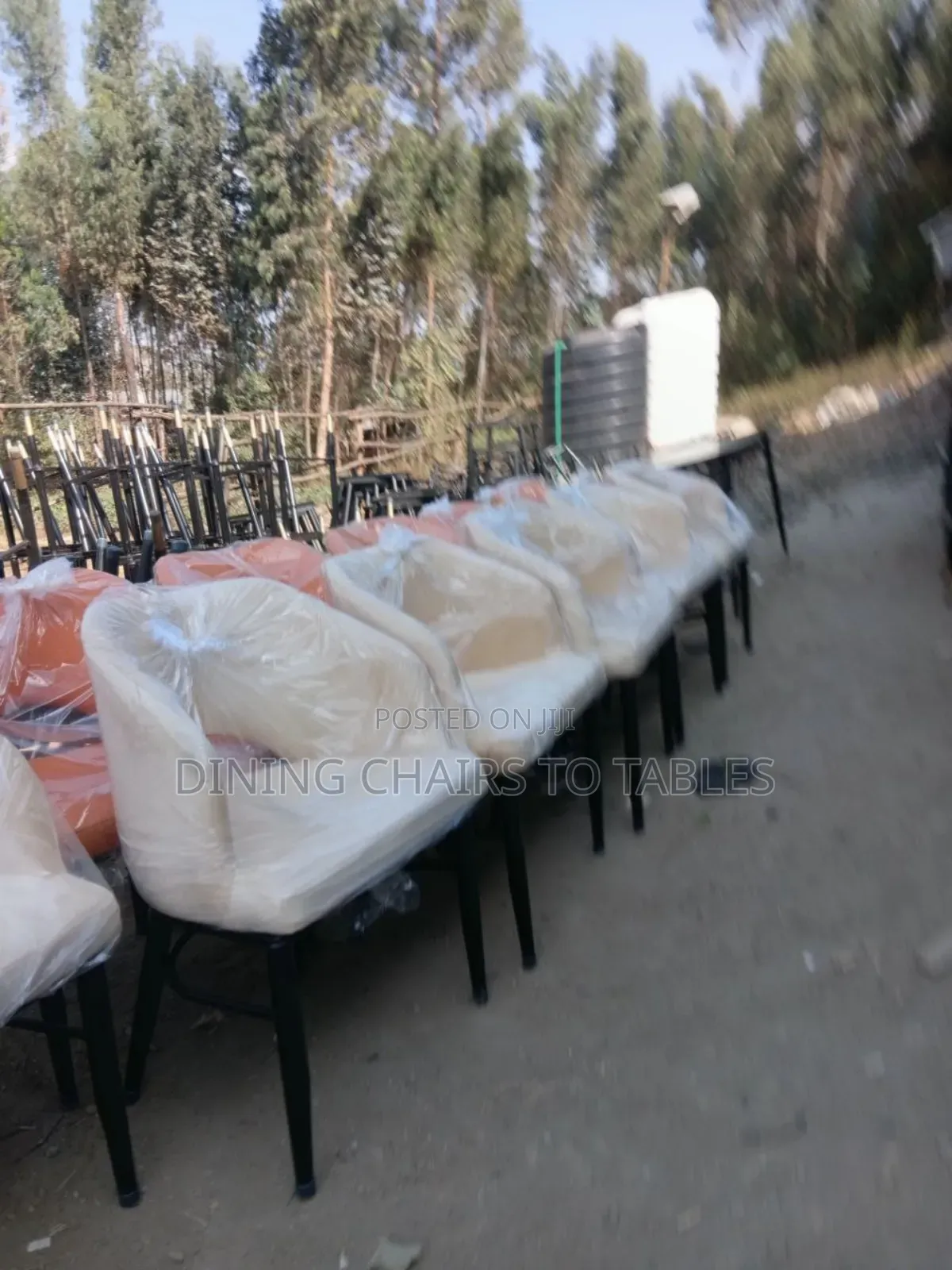 Dining Restaurant Hotel Chairs