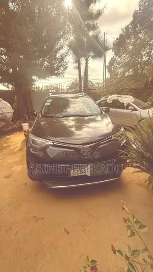 Toyota RAV4 2018 Gray