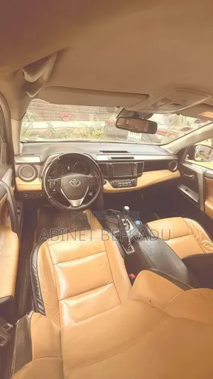 Toyota RAV4 2018 Gray