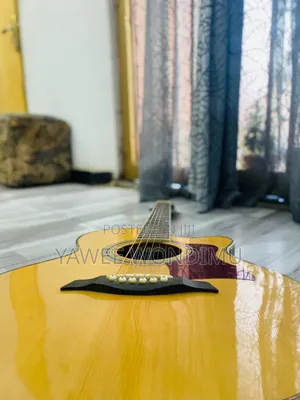 Lucky Star Semi Acoustic Guitar